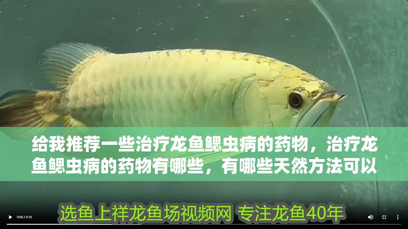 給我推薦一些治療龍魚鰓蟲病的藥物，治療龍魚鰓蟲病的藥物有哪些，有哪些天然方法可以治療龍魚鰓蟲病