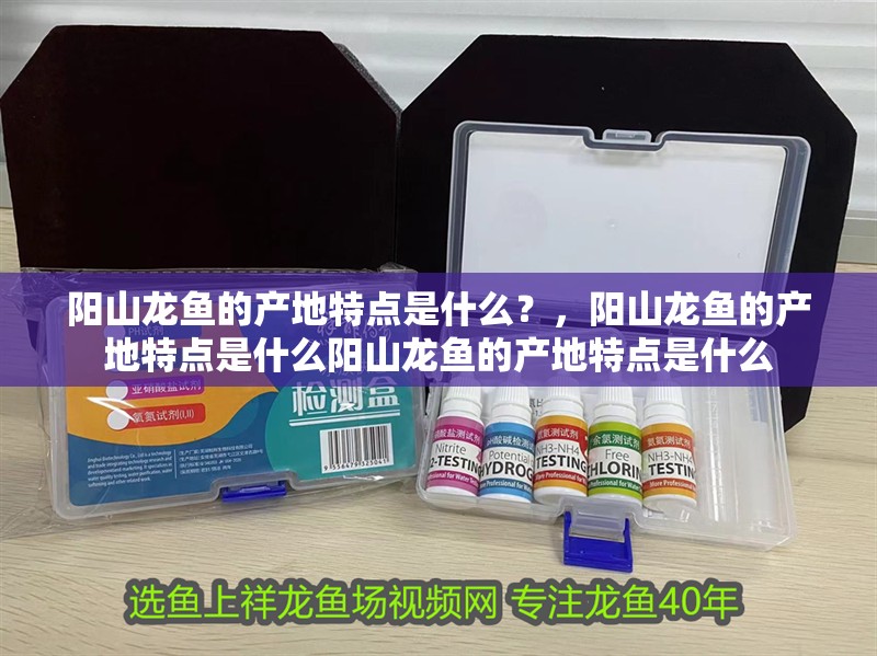 陽山龍魚的產地特點是什么？，陽山龍魚的產地特點是什么陽山龍魚的產地特點是什么