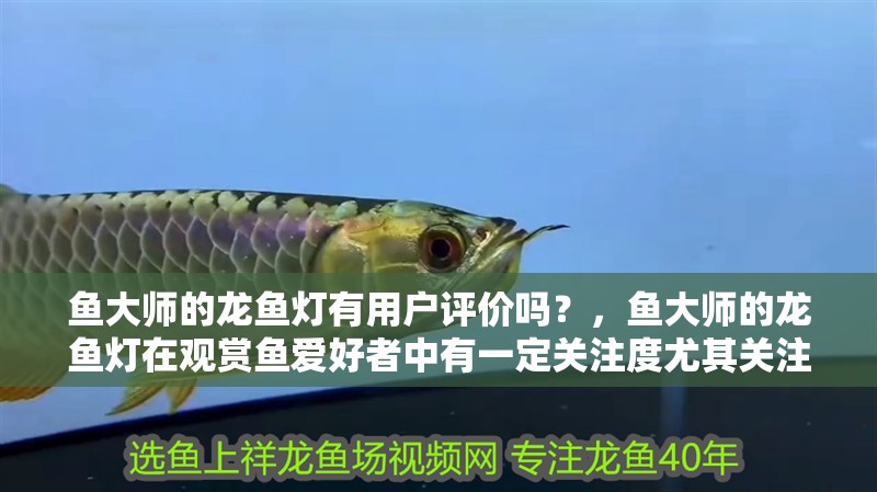 魚大師的龍魚燈有用戶評價嗎？，魚大師的龍魚燈在觀賞魚愛好者中有一定關注度尤其關注度