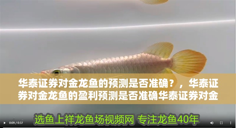 華泰證券對(duì)金龍魚(yú)的預(yù)測(cè)是否準(zhǔn)確？，華泰證券對(duì)金龍魚(yú)的盈利預(yù)測(cè)是否準(zhǔn)確華泰證券對(duì)金龍魚(yú)的預(yù)測(cè)是否準(zhǔn)確