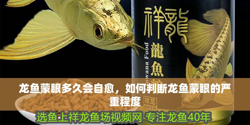龍魚蒙眼多久會自愈，如何判斷龍魚蒙眼的嚴重程度 龍魚蒙眼多久會自愈，如何判斷龍魚蒙眼的嚴重程度 龍魚百科