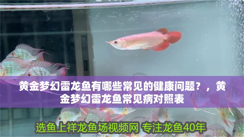 黃金夢幻雷龍魚有哪些常見的健康問題？，黃金夢幻雷龍魚常見病對照表
