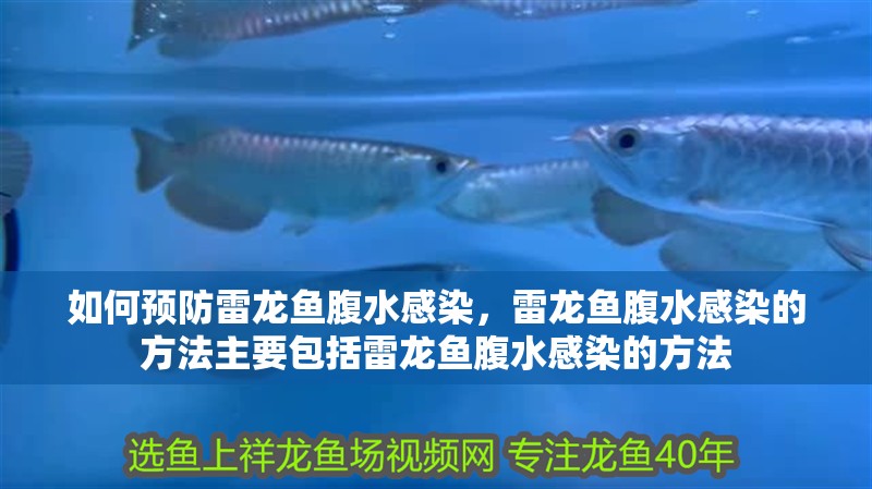 如何預防雷龍魚腹水感染，雷龍魚腹水感染的方法主要包括雷龍魚腹水感染的方法