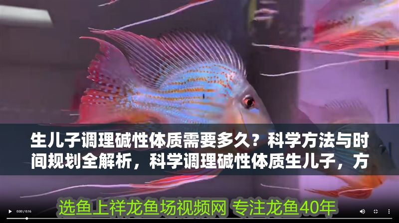 生兒子調理堿性體質需要多久？科學方法與時間規劃全解析，科學調理堿性體質生兒子，方法與時間全解析