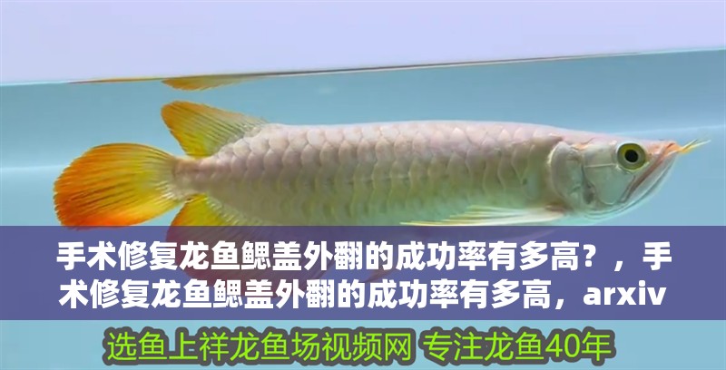 手術修復龍魚鰓蓋外翻的成功率有多高？，手術修復龍魚鰓蓋外翻的成功率有多高，arxiv論文助手 手術修復龍魚鰓蓋外翻的成功率有多高？，手術修復龍魚鰓蓋外翻的成功率有多高，arxiv論文助手 龍魚百科