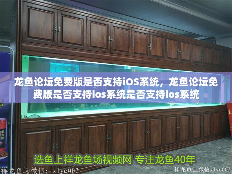 龍魚論壇免費版是否支持iOS系統，龍魚論壇免費版是否支持ios系統是否支持ios系統