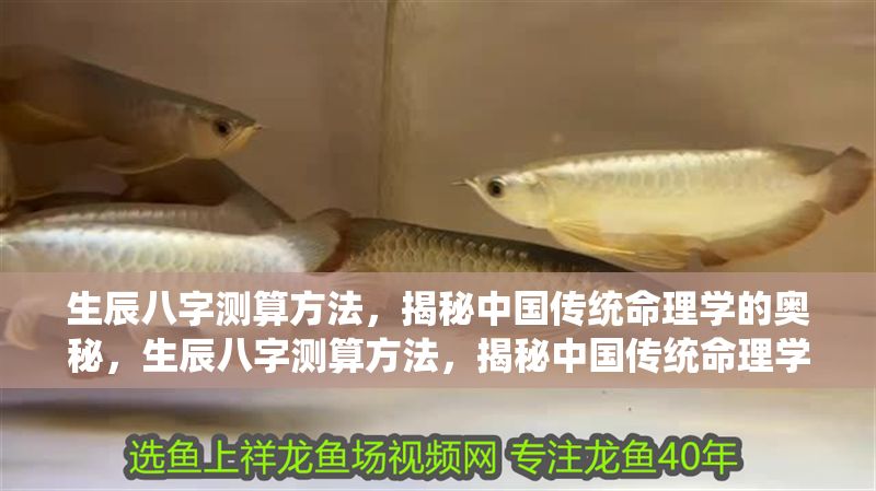 生辰八字測算方法，揭秘中國傳統命理學的奧秘，生辰八字測算方法，揭秘中國傳統命理學的核心奧秘 生辰八字測算方法，揭秘中國傳統命理學的奧秘，生辰八字測算方法，揭秘中國傳統命理學的核心奧秘 龍魚百科 第1張