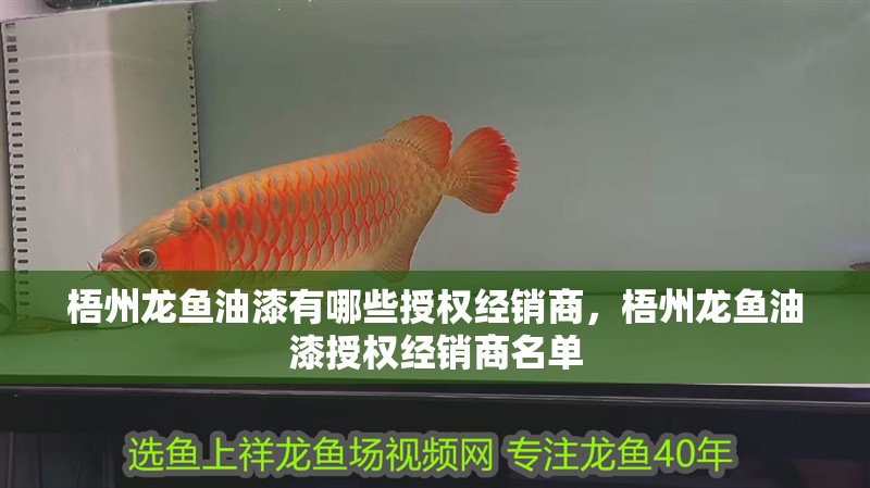 梧州龍魚油漆有哪些授權(quán)經(jīng)銷商，梧州龍魚油漆授權(quán)經(jīng)銷商名單