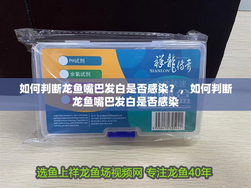 如何判斷龍魚嘴巴發(fā)白是否感染？，如何判斷龍魚嘴巴發(fā)白是否感染