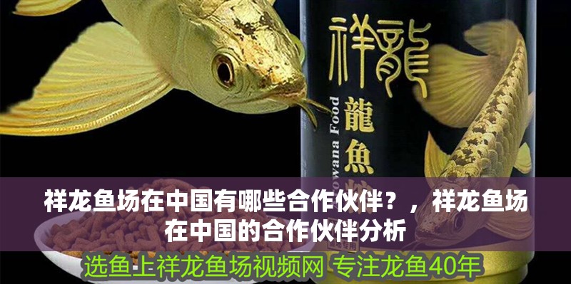 祥龍魚場在中國有哪些合作伙伴？，祥龍魚場在中國的合作伙伴分析