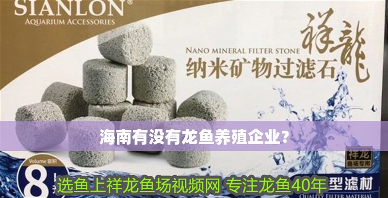 海南有沒有龍魚養殖企業？