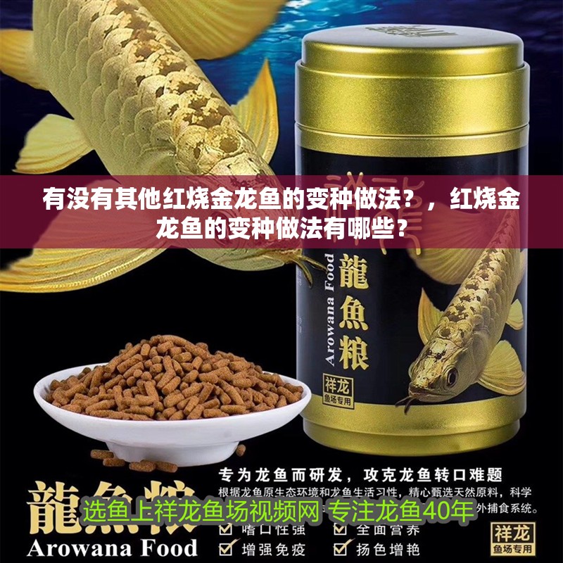 有沒有其他紅燒金龍魚的變種做法？，紅燒金龍魚的變種做法有哪些？