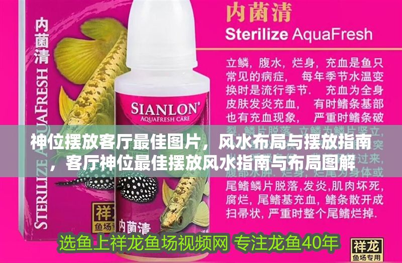 神位擺放客廳最佳圖片，風水布局與擺放指南，客廳神位最佳擺放風水指南與布局圖解