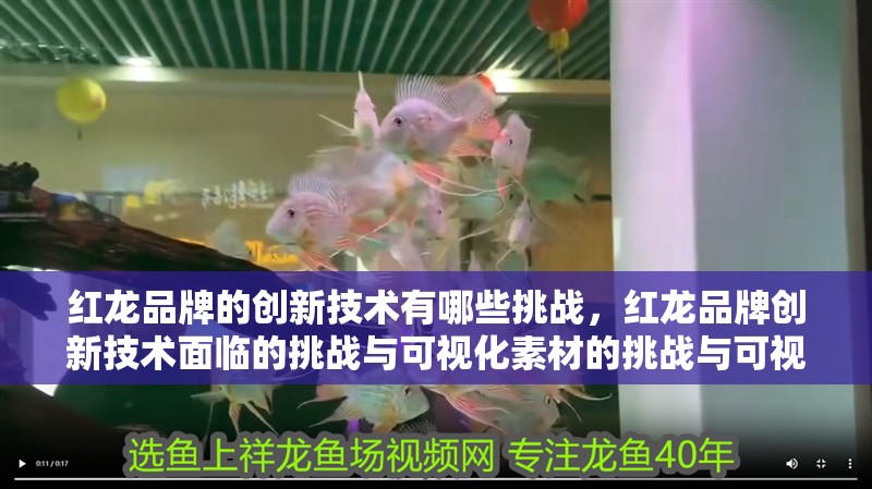 紅龍品牌的創(chuàng)新技術(shù)有哪些挑戰(zhàn)，紅龍品牌創(chuàng)新技術(shù)面臨的挑戰(zhàn)與可視化素材的挑戰(zhàn)與可視化素材 紅龍品牌的創(chuàng)新技術(shù)有哪些挑戰(zhàn)，紅龍品牌創(chuàng)新技術(shù)面臨的挑戰(zhàn)與可視化素材的挑戰(zhàn)與可視化素材 龍魚百科