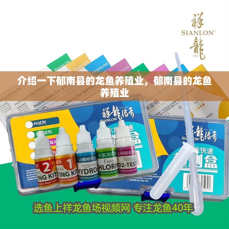 介紹一下郁南縣的龍魚養殖業，郁南縣的龍魚養殖業