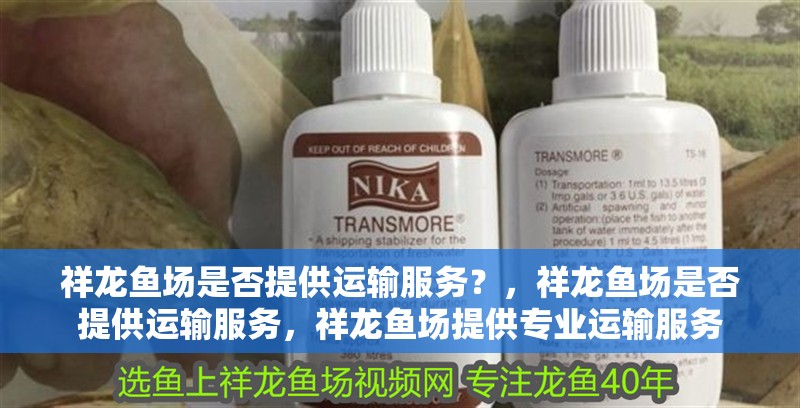 祥龍魚場是否提供運輸服務？，祥龍魚場是否提供運輸服務，祥龍魚場提供專業運輸服務