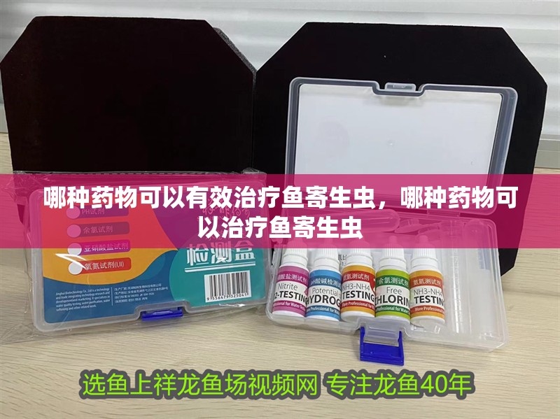 哪種藥物可以有效治療魚寄生蟲，哪種藥物可以治療魚寄生蟲