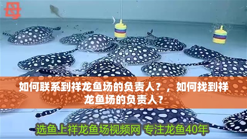 如何聯系到祥龍魚場的負責人？，如何找到祥龍魚場的負責人？