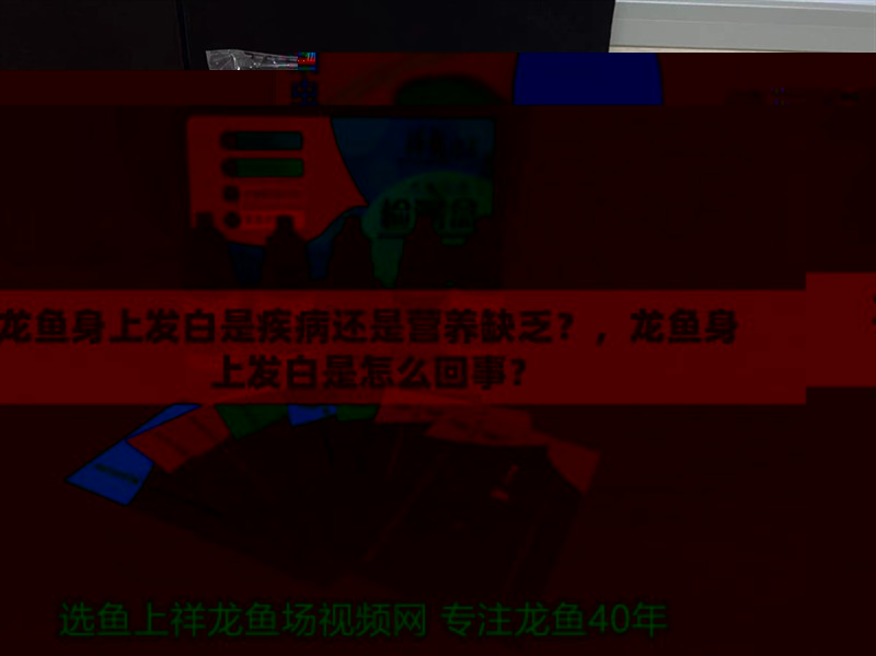 龍魚身上發(fā)白是疾病還是營養(yǎng)缺乏？，龍魚身上發(fā)白是怎么回事？