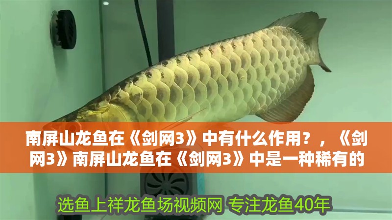 南屏山龍魚在《劍網3》中有什么作用？，《劍網3》南屏山龍魚在《劍網3》中是一種稀有的寵物