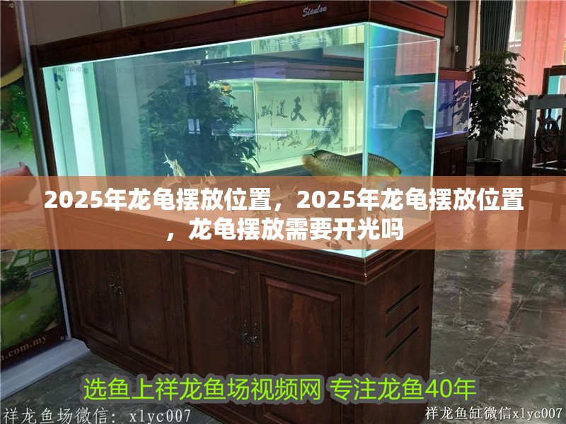 2025年龍龜擺放位置，2025年龍龜擺放位置，龍龜擺放需要開光嗎