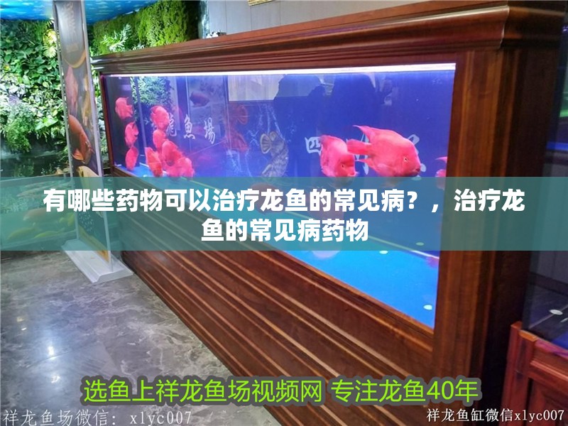 有哪些藥物可以治療龍魚的常見病？，治療龍魚的常見病藥物