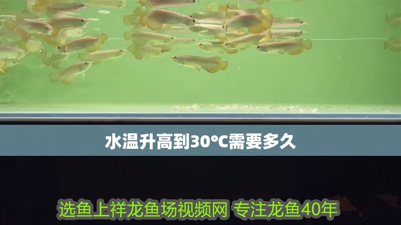 水溫升高到30℃需要多久