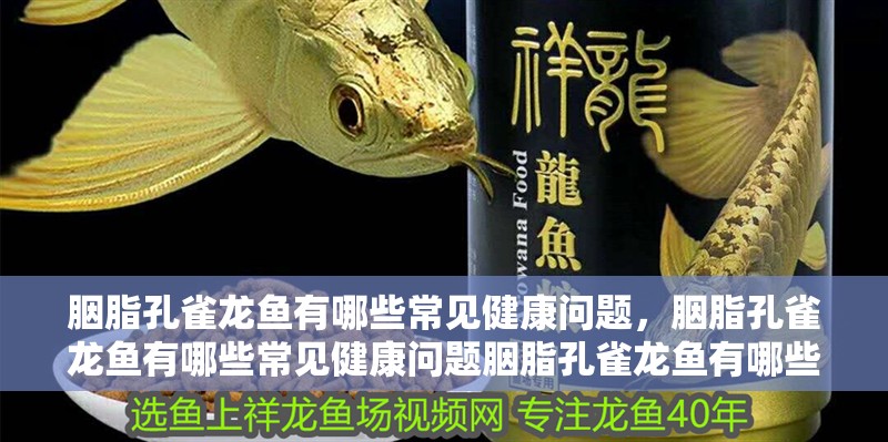 胭脂孔雀龍魚有哪些常見健康問題，胭脂孔雀龍魚有哪些常見健康問題胭脂孔雀龍魚有哪些健康問題