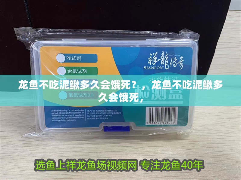 龍魚不吃泥鰍多久會(huì)餓死？，龍魚不吃泥鰍多久會(huì)餓死，
