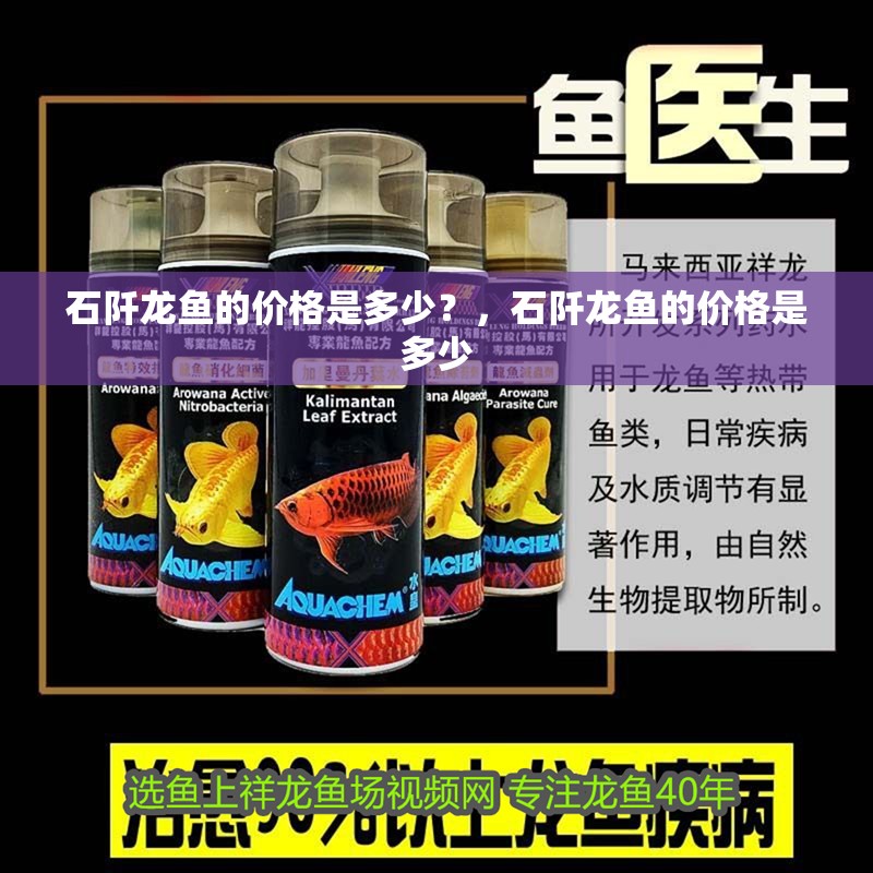 石阡龍魚(yú)的價(jià)格是多少？，石阡龍魚(yú)的價(jià)格是多少