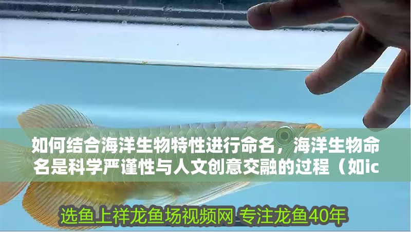 如何結合海洋生物特性進行命名，海洋生物命名是科學嚴謹性與人文創意交融的過程（如iczn）
