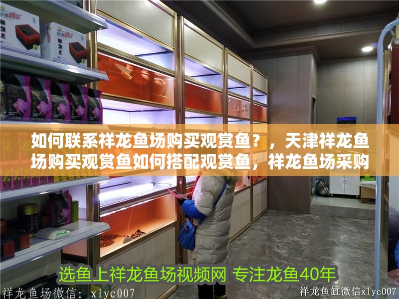 如何聯(lián)系祥龍魚場購買觀賞魚？，天津祥龍魚場購買觀賞魚如何搭配觀賞魚，祥龍魚場采購清單