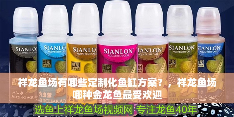 祥龍魚場有哪些定制化魚缸方案？，祥龍魚場哪種金龍魚最受歡迎