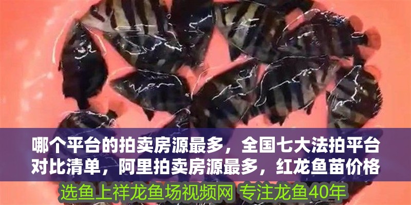 哪個(gè)平臺(tái)的拍賣房源最多，全國(guó)七大法拍平臺(tái)對(duì)比清單，阿里拍賣房源最多，紅龍魚苗價(jià)格多少