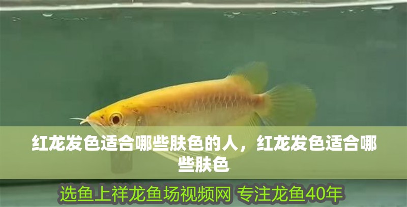 紅龍發(fā)色適合哪些膚色的人，紅龍發(fā)色適合哪些膚色