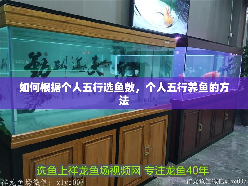 如何根據(jù)個人五行選魚數(shù)，個人五行養(yǎng)魚的方法