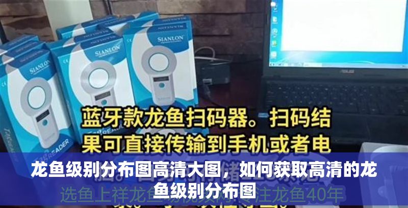 龍魚(yú)級(jí)別分布圖高清大圖，如何獲取高清的龍魚(yú)級(jí)別分布圖