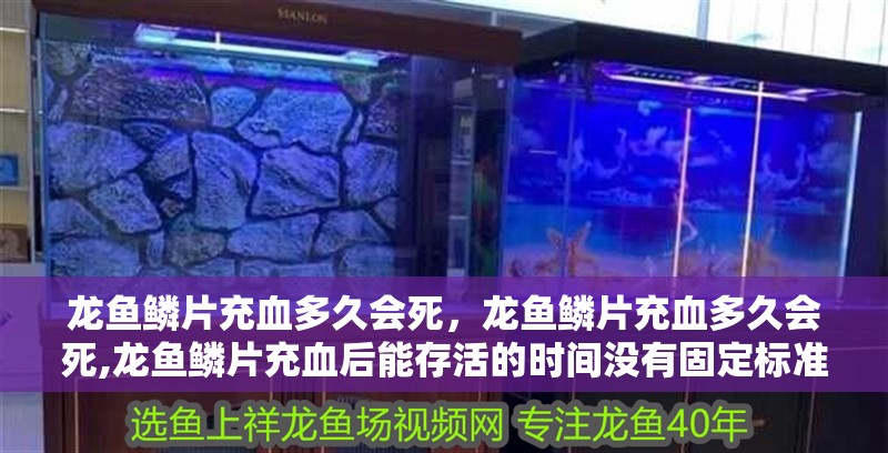 龍魚鱗片充血多久會死，龍魚鱗片充血多久會死,龍魚鱗片充血后能存活的時間沒有固定標準