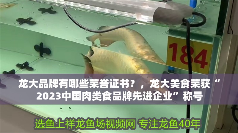 龍大品牌有哪些榮譽證書？，龍大美食榮獲“2023中國肉類食品牌先進企業”稱號