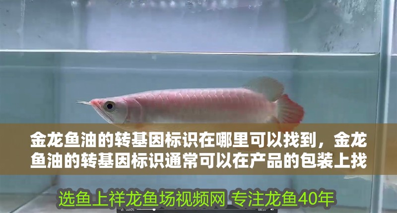 金龍魚油的轉基因標識在哪里可以找到，金龍魚油的轉基因標識通常可以在產品的包裝上找到