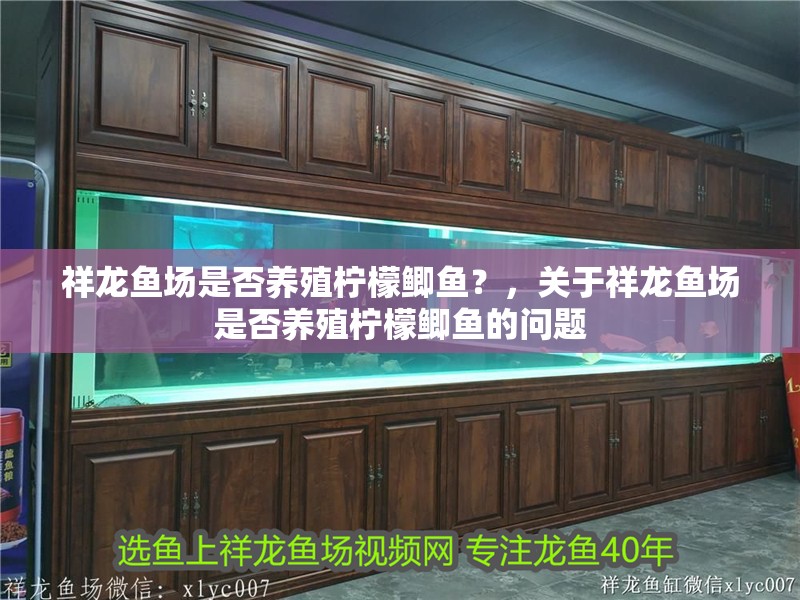 祥龍魚場(chǎng)是否養(yǎng)殖檸檬鯽魚？，關(guān)于祥龍魚場(chǎng)是否養(yǎng)殖檸檬鯽魚的問題