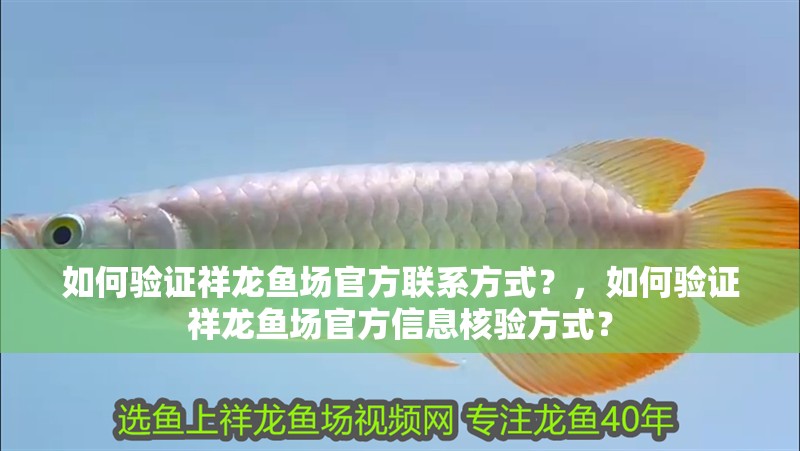 如何驗證祥龍魚場官方聯(lián)系方式？，如何驗證祥龍魚場官方信息核驗方式？