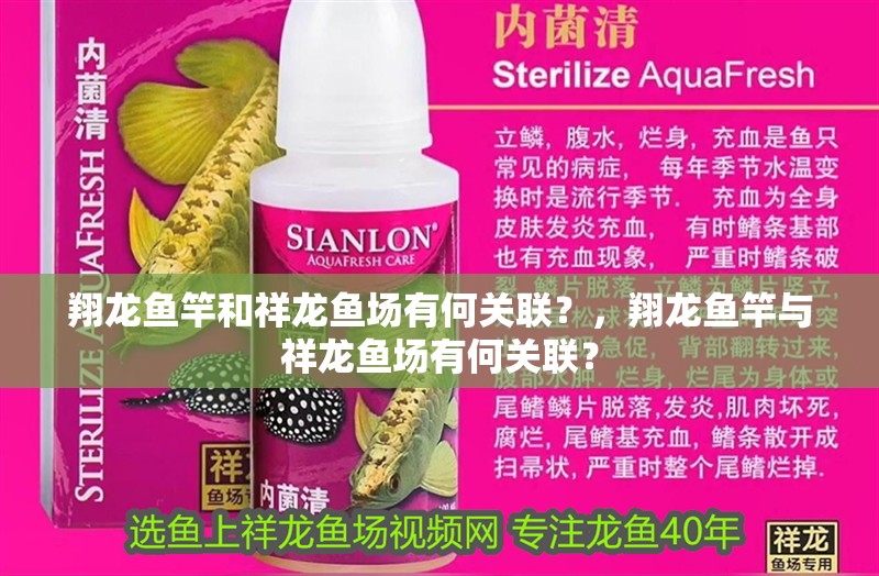 翔龍魚竿和祥龍魚場有何關聯？，翔龍魚竿與祥龍魚場有何關聯？