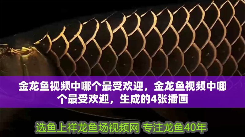 金龍魚視頻中哪個(gè)最受歡迎，金龍魚視頻中哪個(gè)最受歡迎，生成的4張插畫