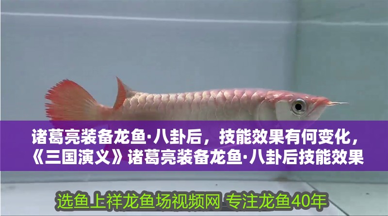 諸葛亮裝備龍魚·八卦后，技能效果有何變化，《三國演義》諸葛亮裝備龍魚·八卦后技能效果有何變化