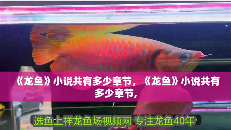 《龍魚》小說(shuō)共有多少章節(jié)，《龍魚》小說(shuō)共有多少章節(jié),