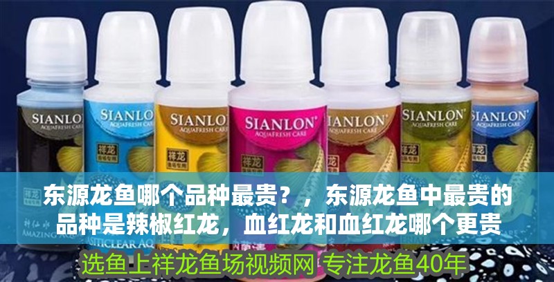 東源龍魚(yú)哪個(gè)品種最貴？，東源龍魚(yú)中最貴的品種是辣椒紅龍，血紅龍和血紅龍哪個(gè)更貴