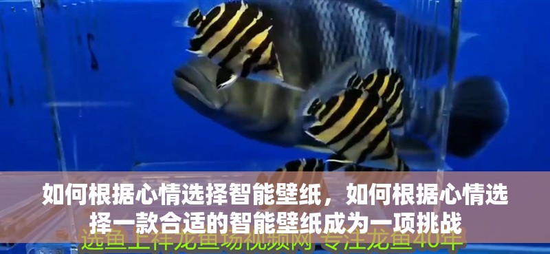 如何根據(jù)心情選擇智能壁紙，如何根據(jù)心情選擇一款合適的智能壁紙成為一項挑戰(zhàn)