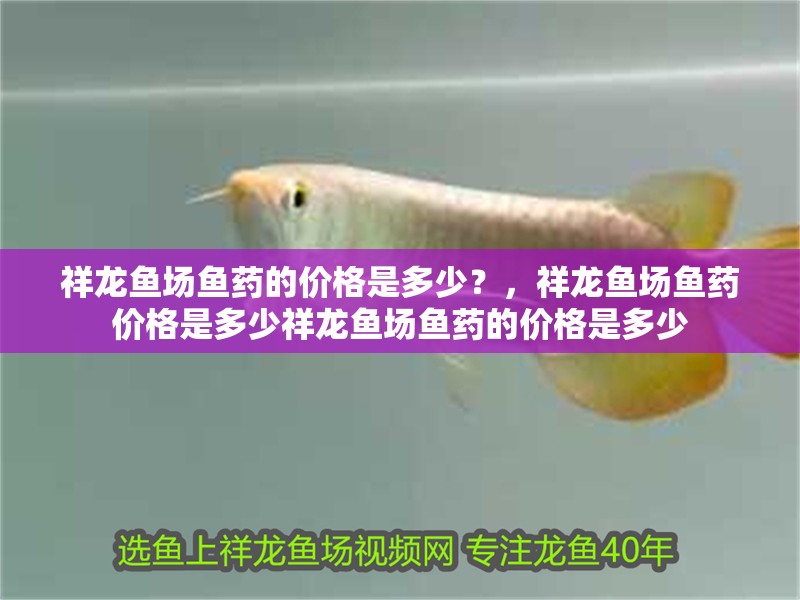 祥龍魚場魚藥的價格是多少？，祥龍魚場魚藥價格是多少祥龍魚場魚藥的價格是多少