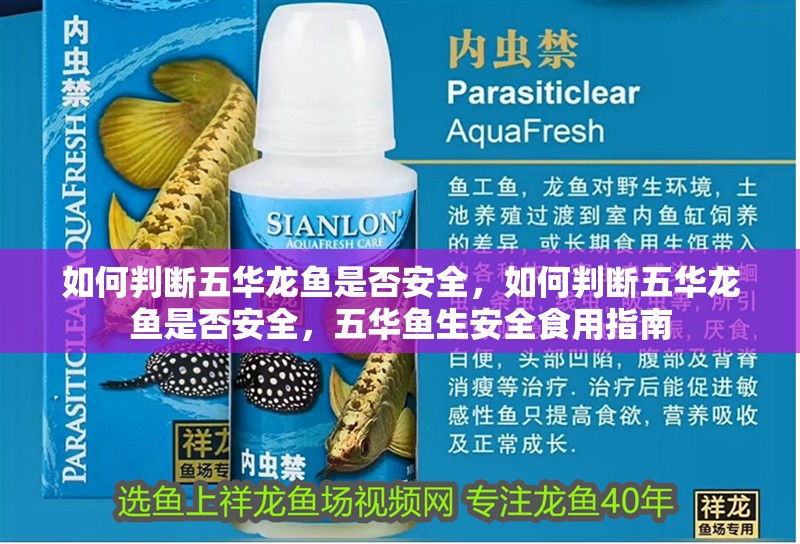 如何判斷五華龍魚是否安全，如何判斷五華龍魚是否安全，五華魚生安全食用指南